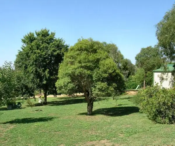 Fifth view of Homely house listing, 6 Glover Place, Bowning NSW 2582