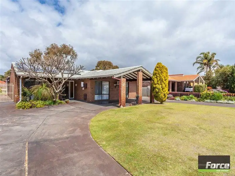 Main view of Homely house listing, 48 Grebe Street, Stirling WA 6021