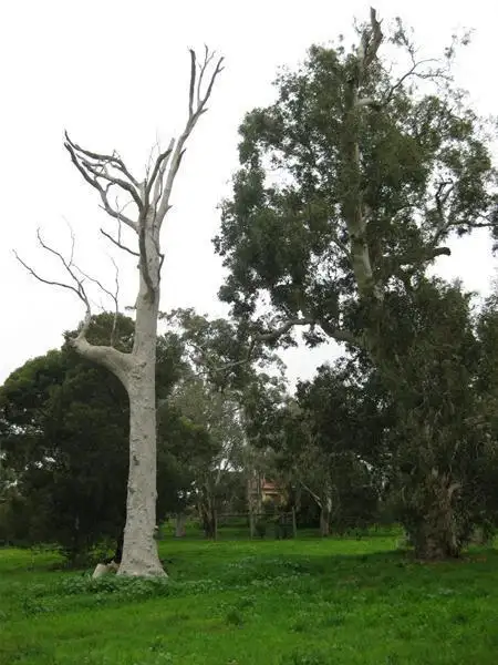 Sixth view of Homely land listing, 1 Old Willunga Hill Road, Willunga SA 5172