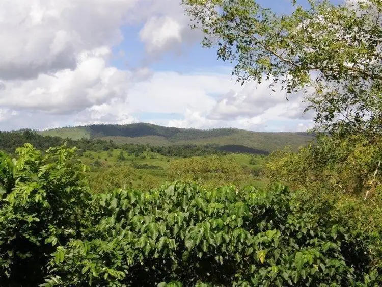 Seventh view of Homely rural property listing, 119 Saltwater Creek Road  (Palm Grove), Proserpine QLD 4800