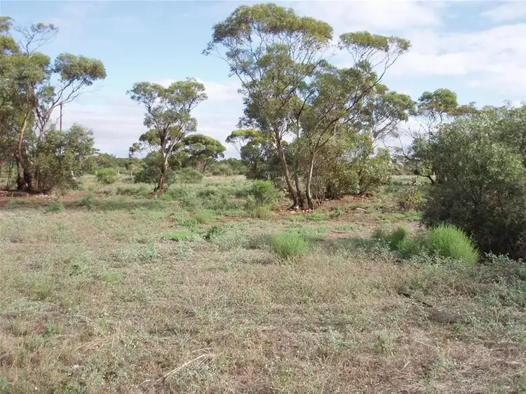Sixth view of Homely land listing, 47-50 Swan Reach Road, Sedan SA 5353
