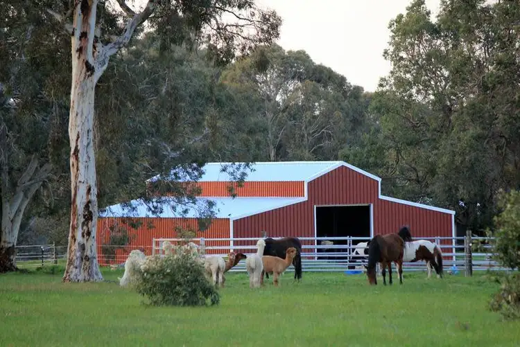 Second view of Homely rural property listing, 41 Brumby Chase, Morangup WA 6083
