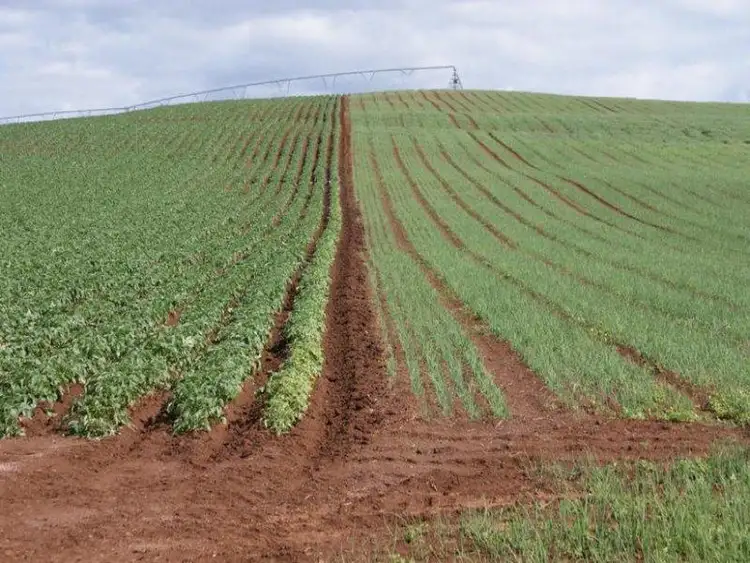 Third view of Homely house listing, 167 Mole Creek Road, Deloraine TAS 7304