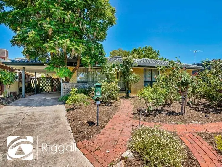 Main view of Homely house listing, 14 Kildare Avenue, Athelstone SA 5076