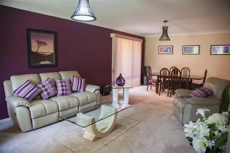 Fifth view of Homely house listing, 55 Gabriella Avenue, Cecil Hills NSW 2171