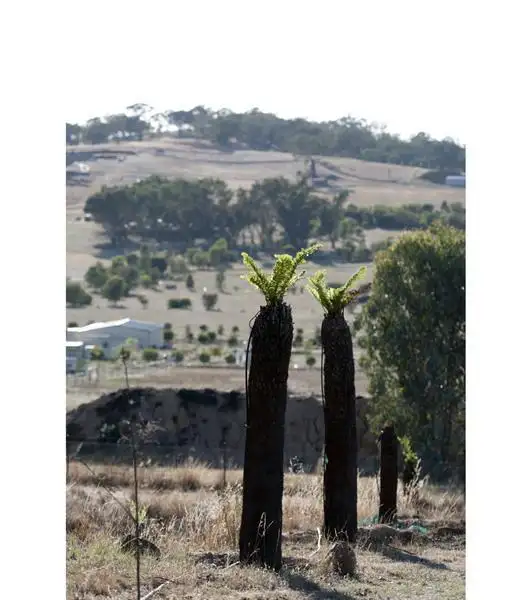 Fifth view of Homely land listing, 10 Robinia Place, Wagga Wagga NSW 2650
