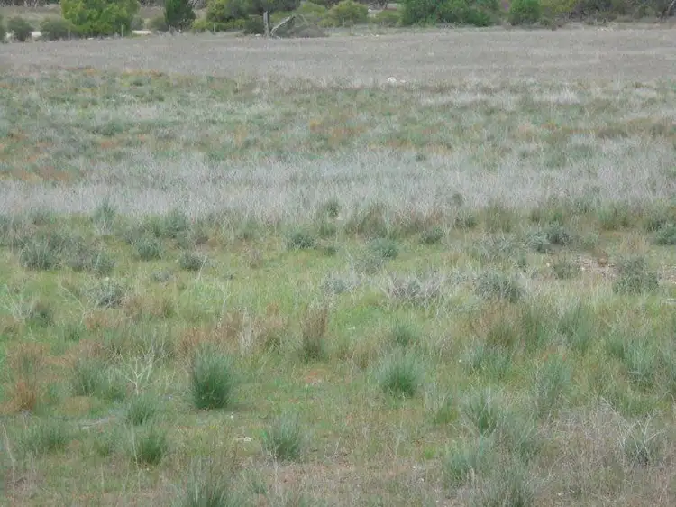 Second view of Homely land listing, Lot 11 Greenshields Road, Younghusband SA 5238