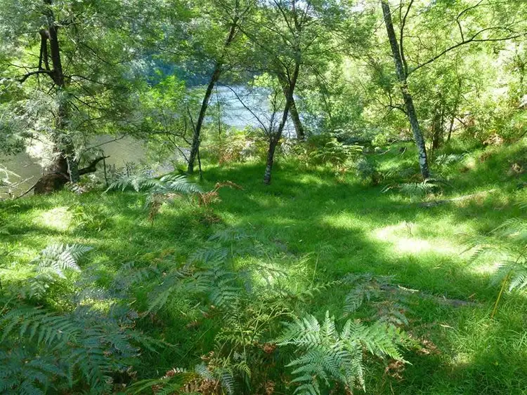 Second view of Homely land listing, LOT 14 Lot 14 Sheas Road, Mogood NSW 2538