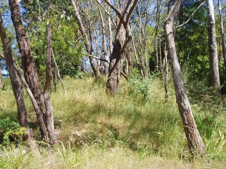 Second view of Homely land listing, 99 Upper Sturt Road, Upper Sturt SA 5156