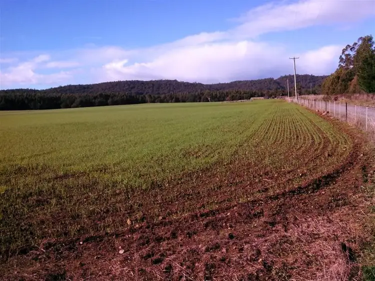 Main view of Homely rural property listing, 198 Youngman's Road, Railton TAS 7305