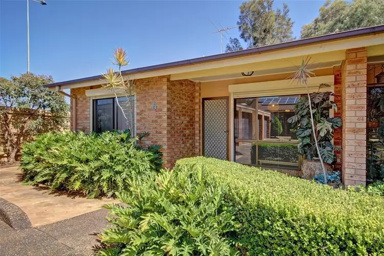 Main view of Homely house listing, 6/101 Madeline Street, Belfield NSW 2191
