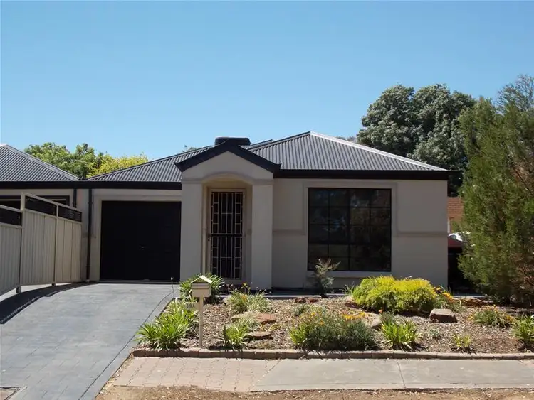 19A Norman Street, St Marys SA 5042