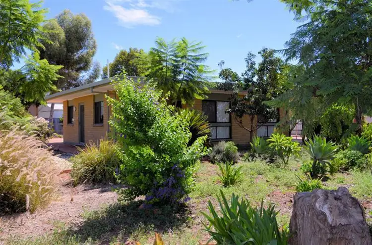 49 Avoca Street, Dareton NSW 2717