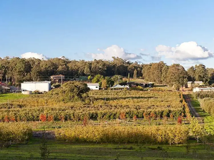 Sixth view of Homely house listing, 1654 Canning Road, Karragullen WA 6111