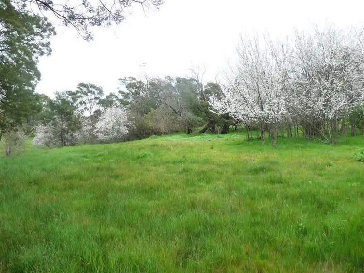 Sixth view of Homely land listing, 0 Monroe Street, Branxholme VIC 3302