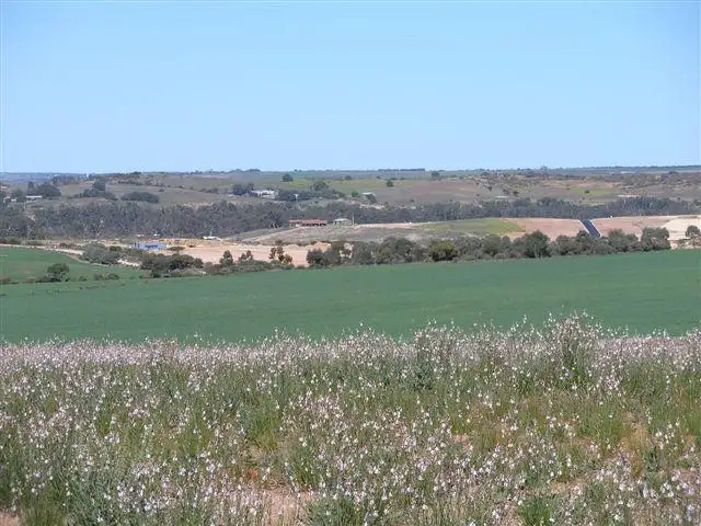 Fifth view of Homely land listing, 105 'Sunset Rise Estate' Magpie Crescent, Mannum SA 5238