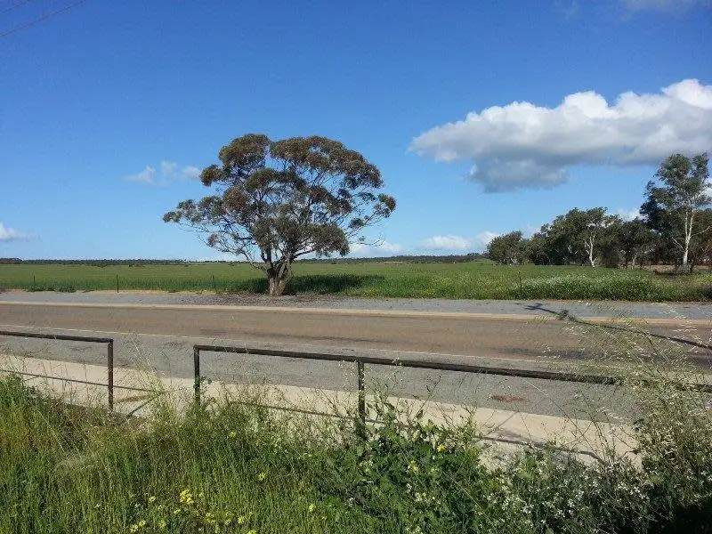 Main view of Homely house listing, 9 BOWMAN Street, Carnamah WA 6517
