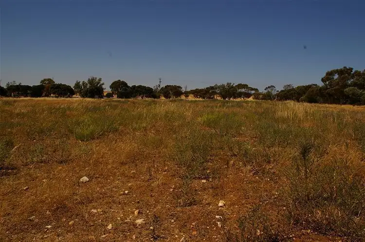 Second view of Homely land listing, LOT 103/102 & 103 Maitland Road, Minlaton SA 5575
