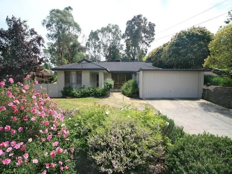 Main view of Homely house listing, 2 Tulip Court, Warranwood VIC 3134