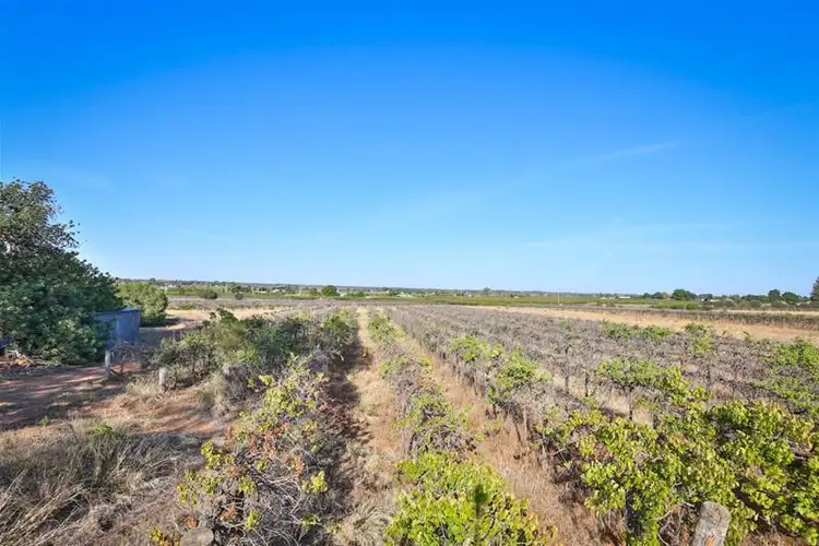 Sixth view of Homely house listing, 99 Cowanna Avenue, Merbein VIC 3505