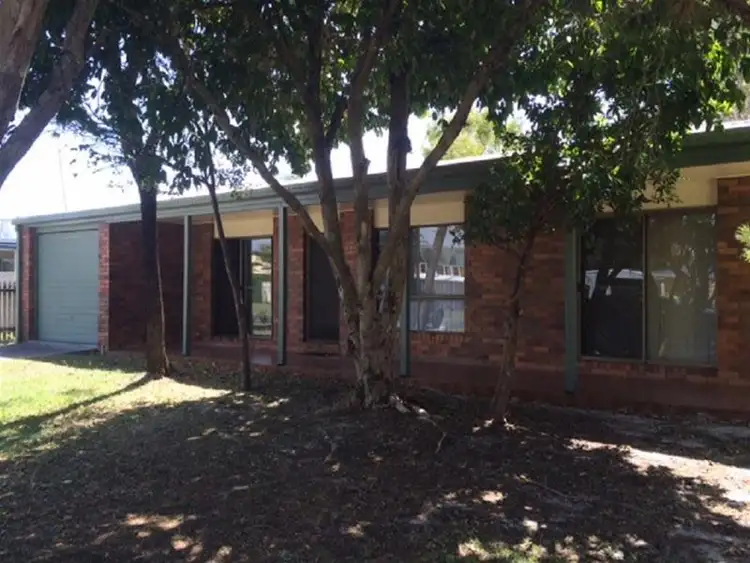 Main view of Homely house listing, 17 Pandanus Street, Bellara QLD 4507