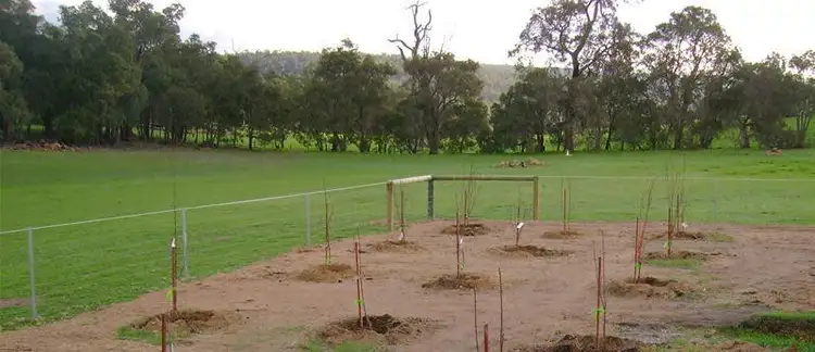 Fourth view of Homely house listing, 170 Mayo Road, Gidgegannup WA 6083