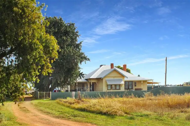 396 Cowanna Avenue, Merbein VIC 3505