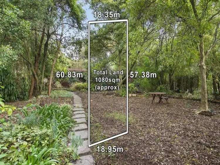 Main view of Homely house listing, 20 Pine Crescent, Ringwood North VIC 3134