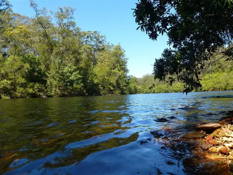 Main view of Homely rural property listing, 456A Backhouses Road, Nelligen NSW 2536