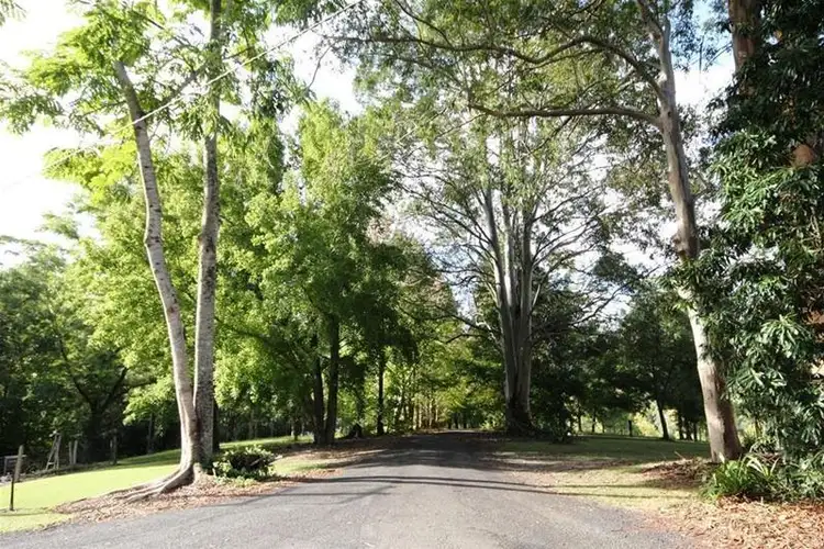 Fifth view of Homely rural property listing, 147 Upper Orara Road, Karangi NSW 2450