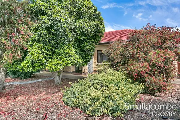 75 Kingston Avenue, Daw Park SA 5041