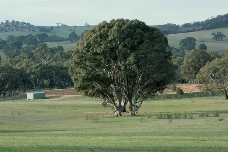 Third view of Homely rural property listing, 563 Sugarloaf Road, Great Western VIC 3374