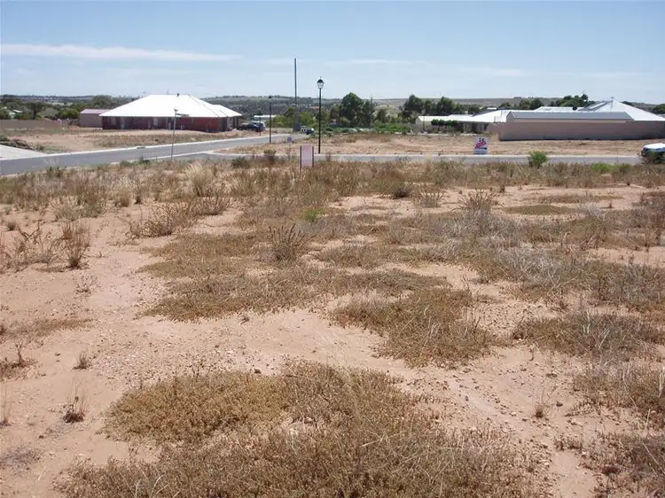 Third view of Homely land listing, 6 Mary Ann Street, Mannum SA 5238