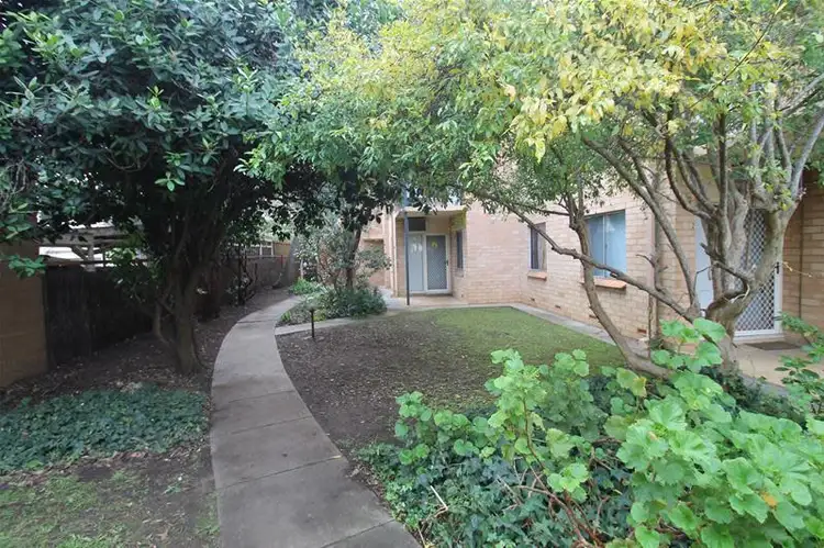 Third view of Homely unit listing, 3/258 Ward Street, North Adelaide SA 5006