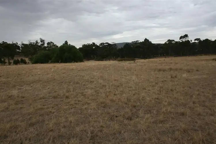 Fifth view of Homely rural property listing, 142 Rifle Butts Road, Landsborough VIC 3384
