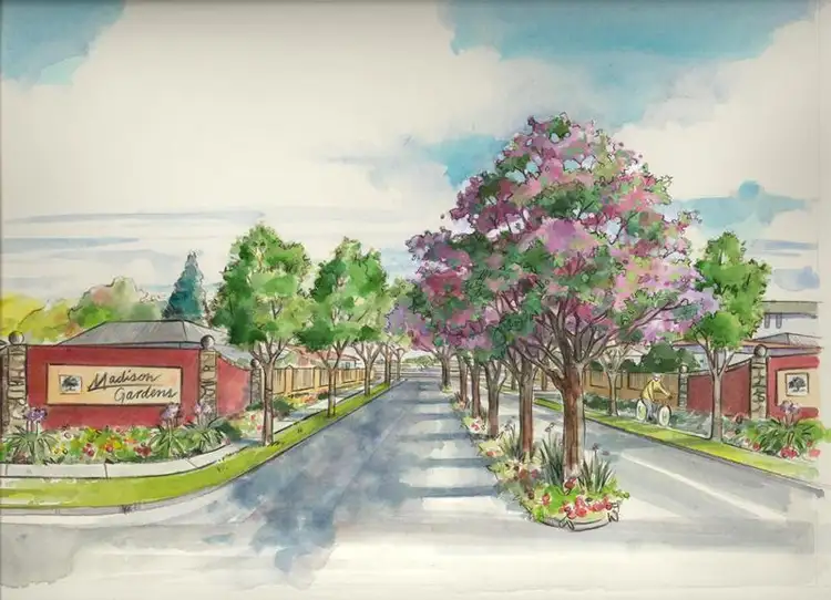 LOT 52 Tuckeroo Circuit, Adamstown Heights NSW 2289