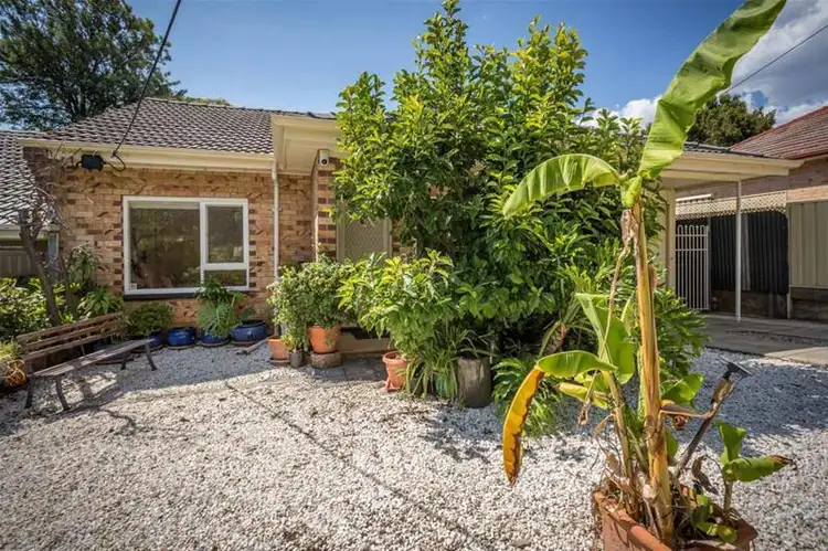 Second view of Homely house listing, 3A Kilbryde Road, Torrens Park SA 5062