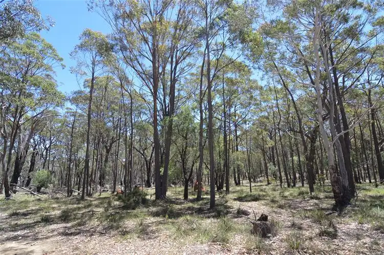 Third view of Homely rural property listing, 942 Mt Vincent Road, Ilford NSW 2850