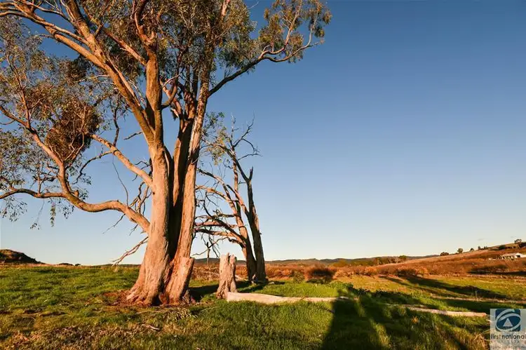 Fifth view of Homely land listing, 9 Lawrie Road, Beechworth VIC 3747