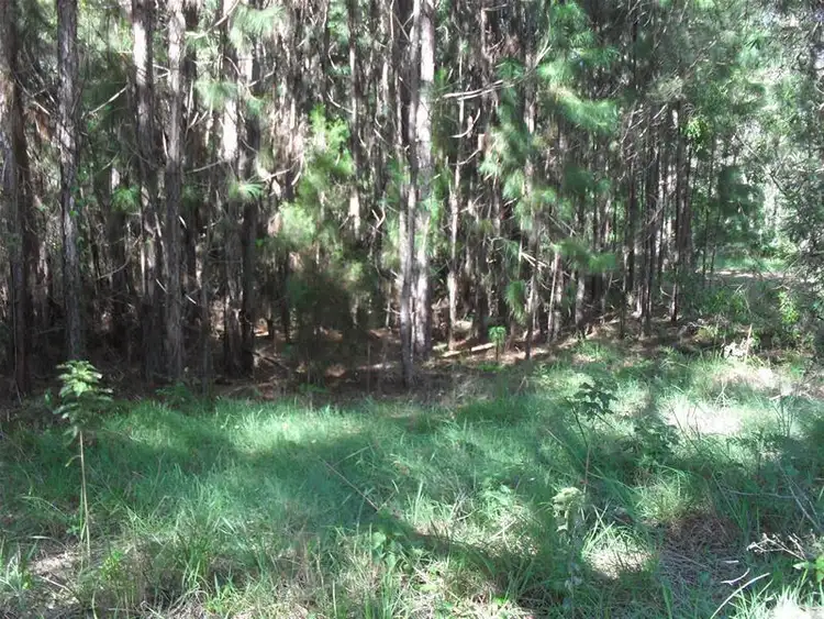 Main view of Homely land listing, 42 Alexander Street, Macleay Island QLD 4184