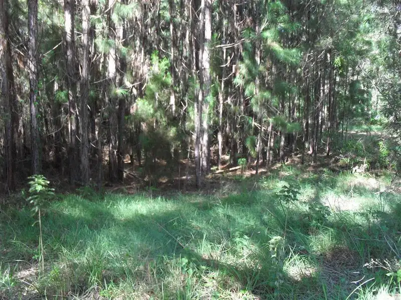 Main view of Homely land listing, 42 Alexander Street, Macleay Island QLD 4184