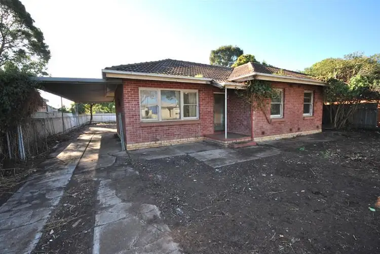 Main view of Homely house listing, 14 Birch Grove, Dernancourt SA 5075
