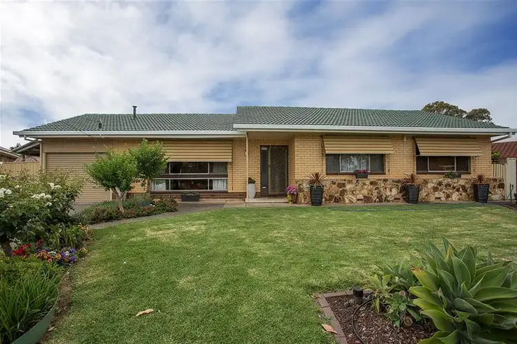 13 Jean Street, Oaklands Park SA 5046