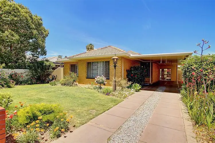 33 Ayers Avenue, Daw Park SA 5041