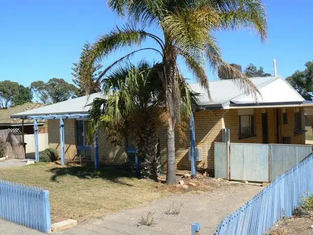 19 Tamblyn Street, Spalding WA 6530