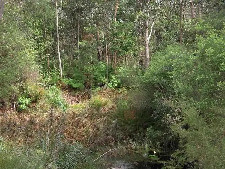 Sixth view of Homely land listing, 20 Lindsay Crescent, Wardell NSW 2477