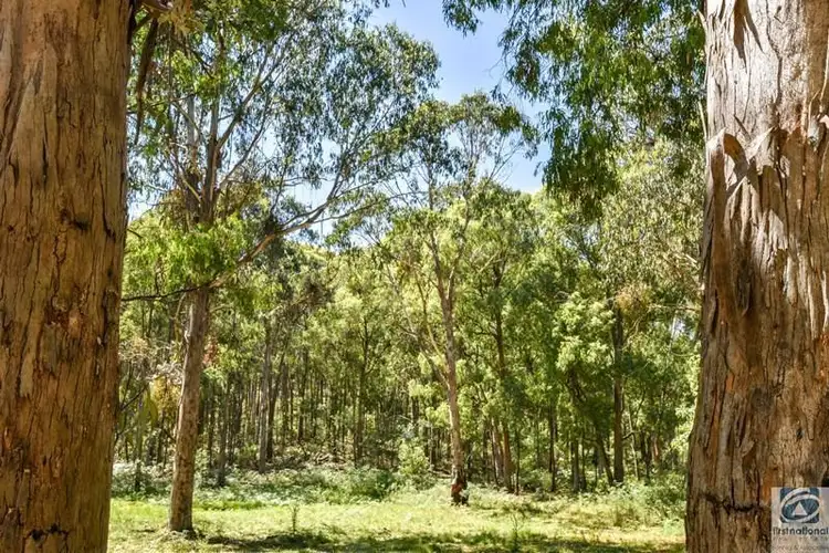 Third view of Homely land listing, 47 Rhodes Lane, Beechworth VIC 3747
