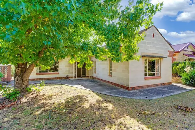 53 Yeronga Avenue, Kensington Park SA 5068