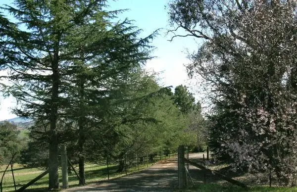 Seventh view of Homely house listing, 1 Shearsby Crescent, Yass NSW 2582