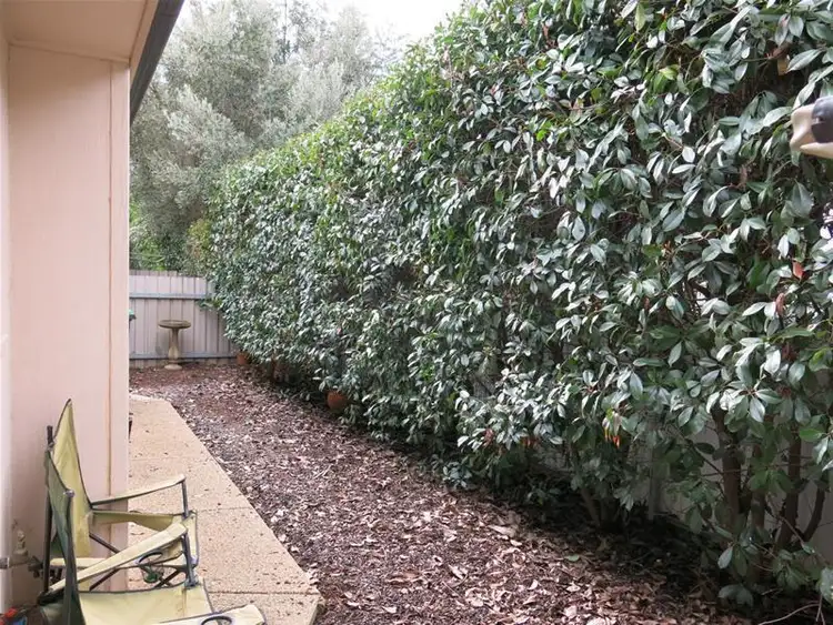 Seventh view of Homely unit listing, 4/7 Nardoo Street, Glenfield Park NSW 2650